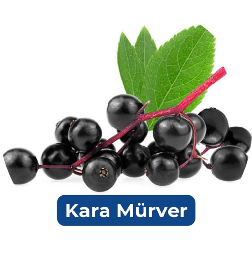 KARAMÜRVER