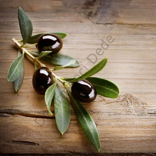 Ege'den Tuzsuz Gemlik Cins Kuru Sele Siyah Zeytin