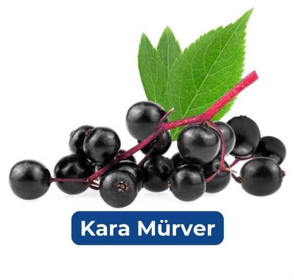 Karamürver Meyve Çayı