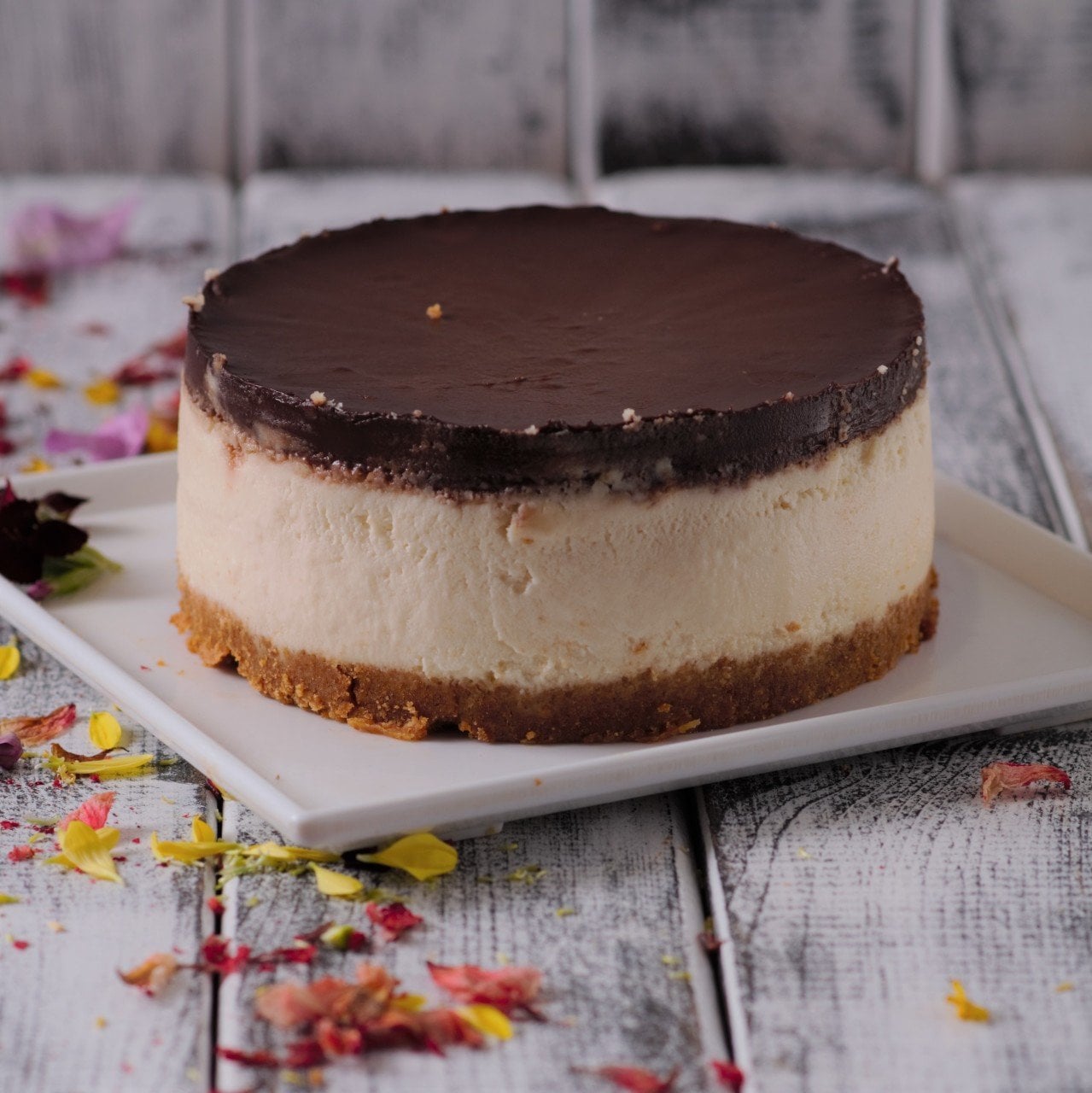 Çikolatalı Cheesecake Bütün(Şeker İlavesiz ve Glütensiz) 12 kişilik