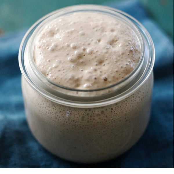 Buğday/Çavdar Ekşi Maya (85 yıllık)