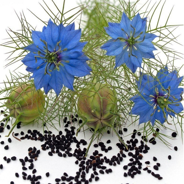 Çörek Otu Tohumu(Yerli Üretim)(Glutensiz)