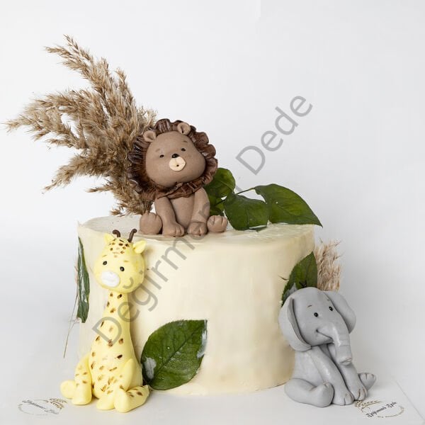 Doğum günü ve Konsept Pasta Birlikte Tasarlayalım