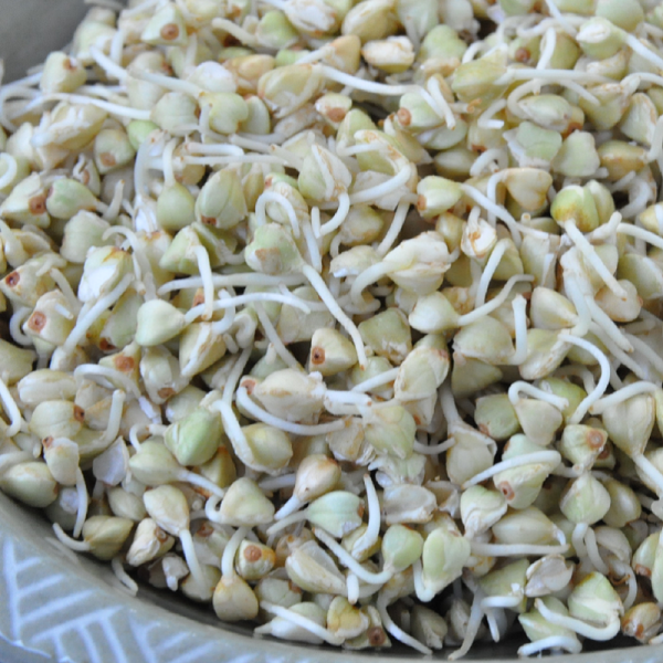 Çiğ Karabuğday Tane(Glutensiz)