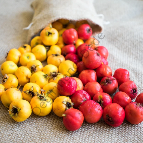 Ev Yapımı Alıç Sirkesi(Doğal Fermente ve Katkısız)