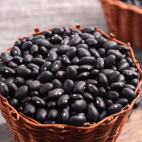Siyah Fasulye (Glutensiz)